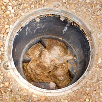 BEDM-DrainMaintainer-clogged-drain-sm.jpg