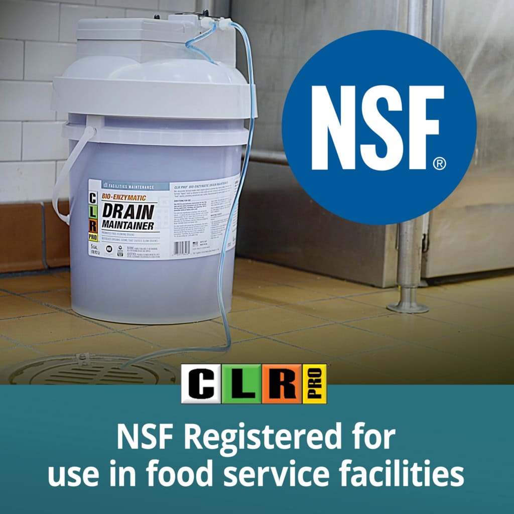 BEDM-NSF Registered_300dpi