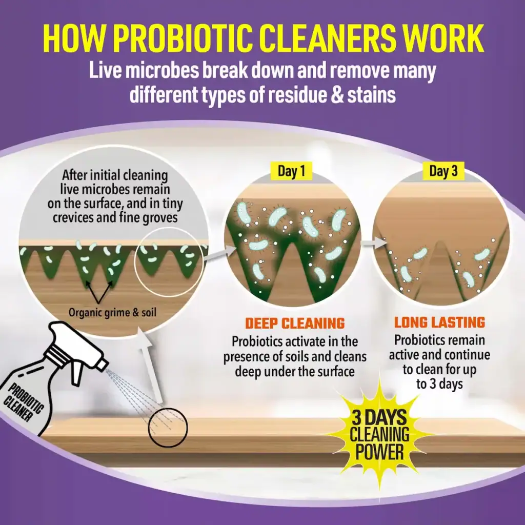 Infographic explaining how probiotic cleaners work over three days to break down residue and stains, showing deep cleaning and long-lasting effects.