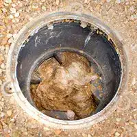 Sewer manhole showing a visible blockage of congealed waste and debris inside.