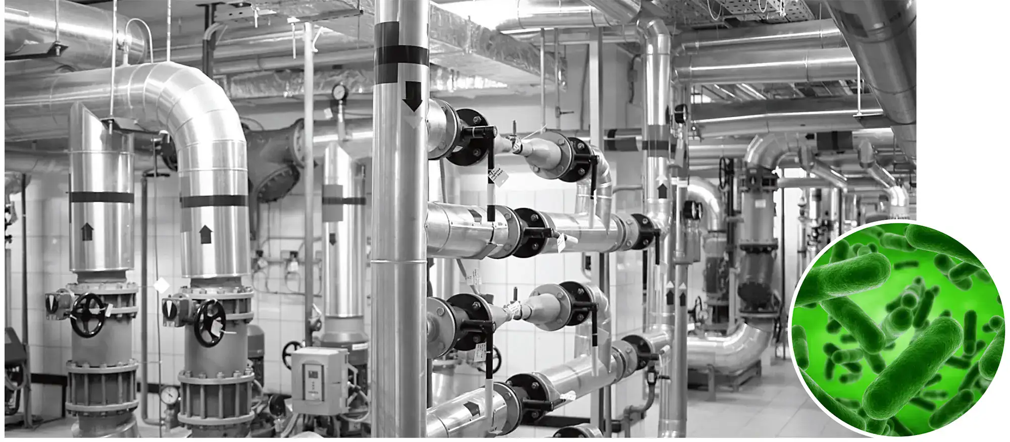 Pipes and valves in a mechanical room, with an inset of green bacteria indicating possible contamination.